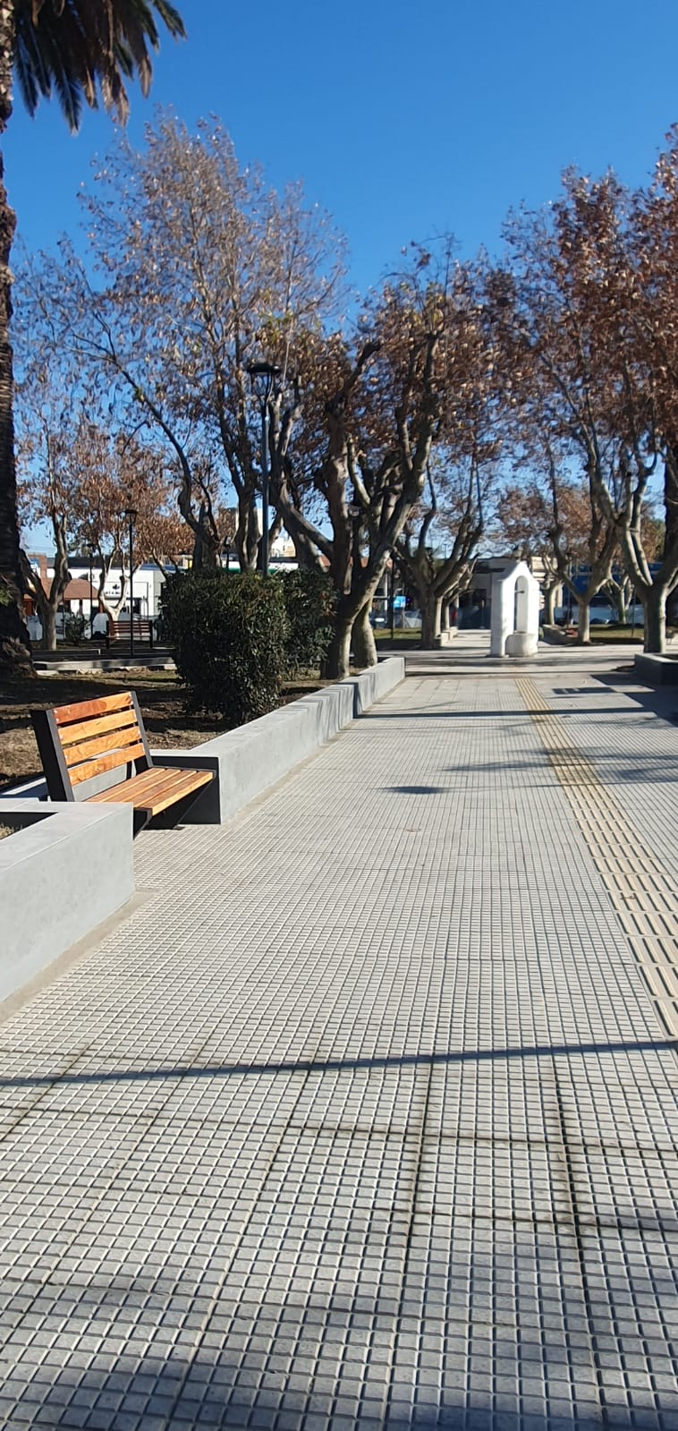 Foto 10